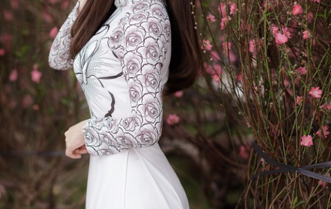 弱精试管成功率（弱精试管成功率高吗）