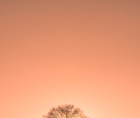 刚刚怀孕右侧小腹隐隐作痛（刚怀孕右侧小腹有点牵扯痛）